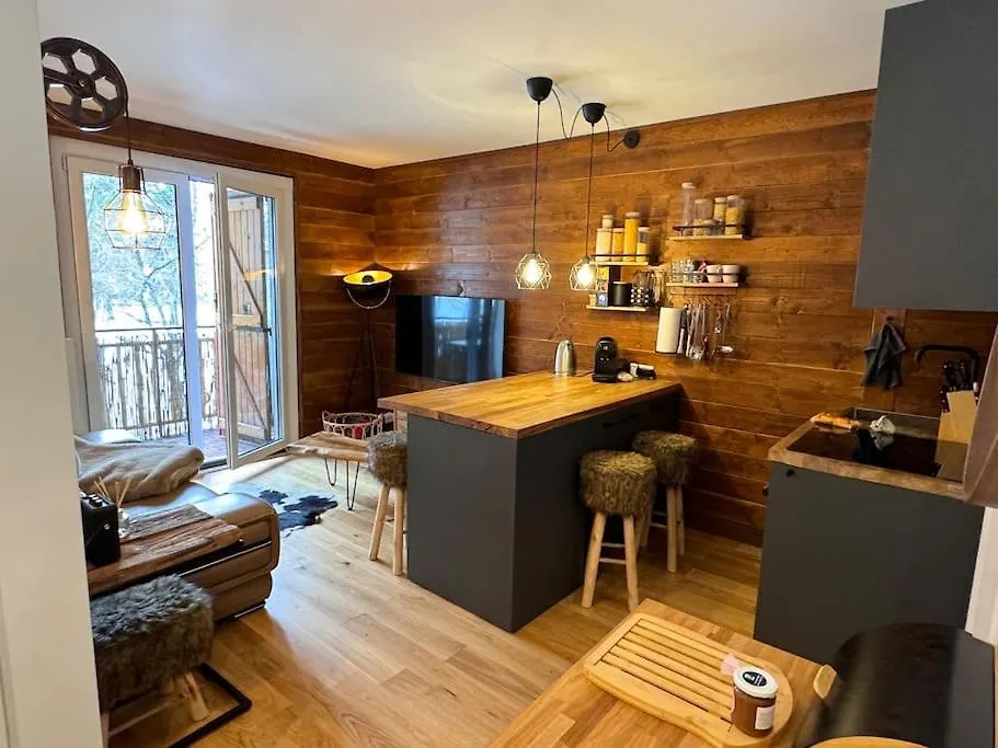 Appartement Auron 3 Chambres Saint-Étienne-de-Tinée