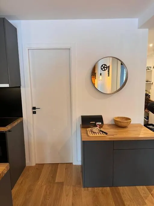 Apartment Appartement Auron 3 Chambres Saint-Etienne-de-Tinee