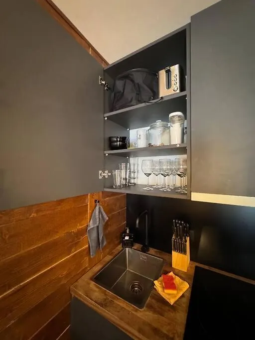 Appartement Auron 3 Chambres Saint-Etienne-de-Tinee Apartment